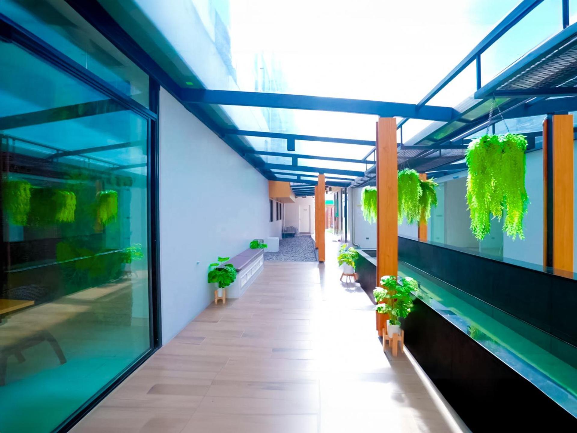 Phoenix Hotel Karon Beach מראה חיצוני תמונה